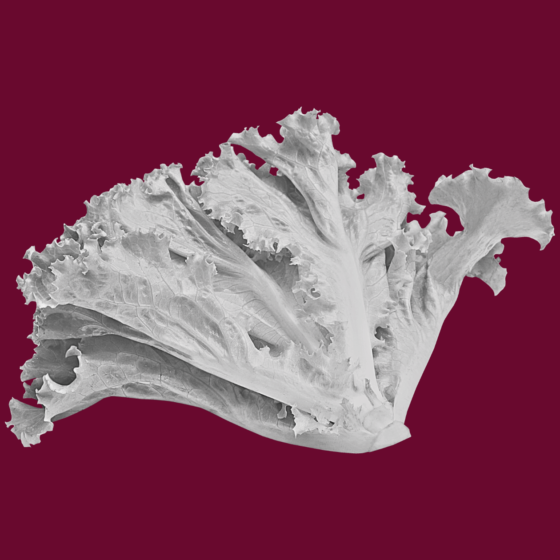 The Pesticide Paradox Part 2:  Your Action Plan for Reducing Pesticide Exposure