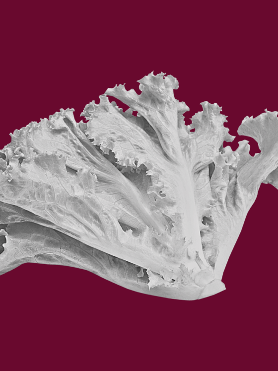 The Pesticide Paradox Part 2:  Your Action Plan for Reducing Pesticide Exposure